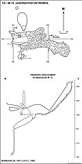 Plan jaskini