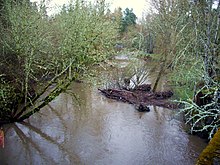 A stream about 15 feet (4.6 meters) wide flows through a wooded area.