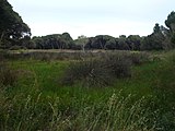 Català: Jonqueres de la rerapineda de Gavà II (Baix Llobregat) (Gavà). Aiguamolls i criptoaiguamolls. This is a a photo of a wetland in Catalonia, Spain, with id: IZHC-08001114 Object location 41° 16′ 23.52″ N, 2° 00′ 51.12″ E  View all coordinates using: OpenStreetMap