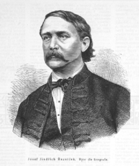 Josef Jindřich Řezníček na rytině z r. 1882