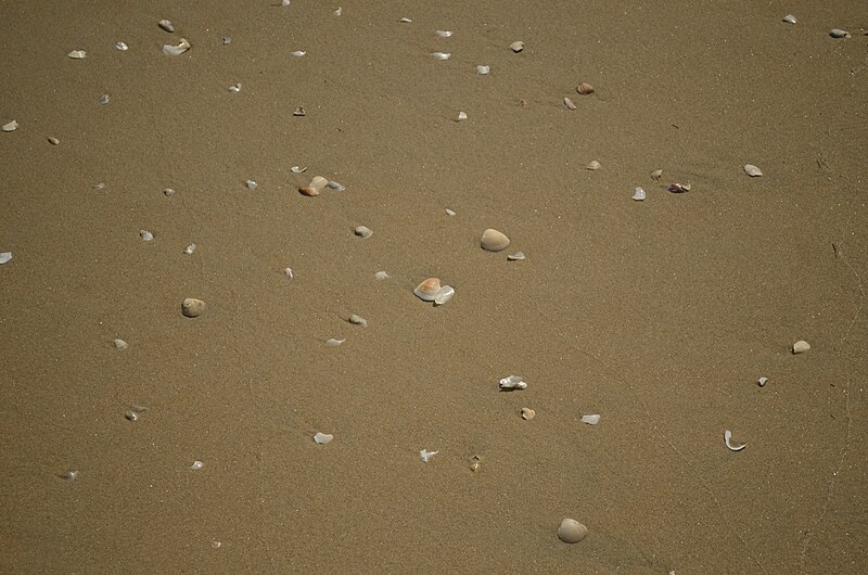 File:Karaikal Beach JEG2435.JPG