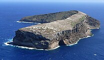 Kaʻula, an important place for the Ancient Niihauans. E. L. Caum found more than a dozen species of plants living here. The island is mostly inhabited by several species of birds, particularly the Common Noddy (Anous stolidus)