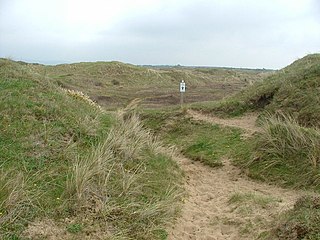 <span class="mw-page-title-main">Cynffig/Kenfig SSSI</span>