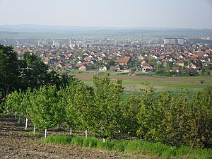 Kladovo