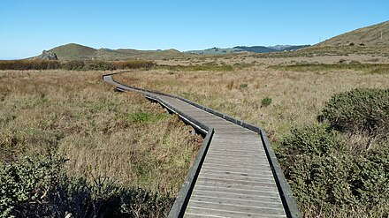 Kortum Trail includes this wooden walkway over wetlands within California's Sonoma Coast State Park.