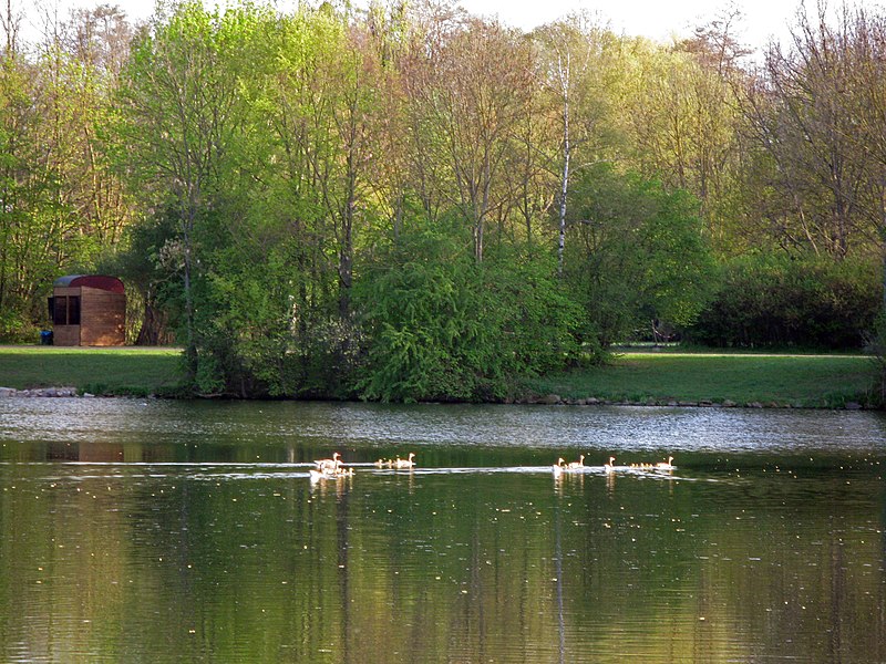 File:Krimmerswörthsee 2.jpg