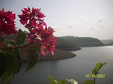 Krishna river.JPG
