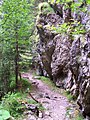 Čeština: Soutěska k vodopádu v Kvačianské dolině na Oravě English: Kvačianská valley. Orava, Slovakia