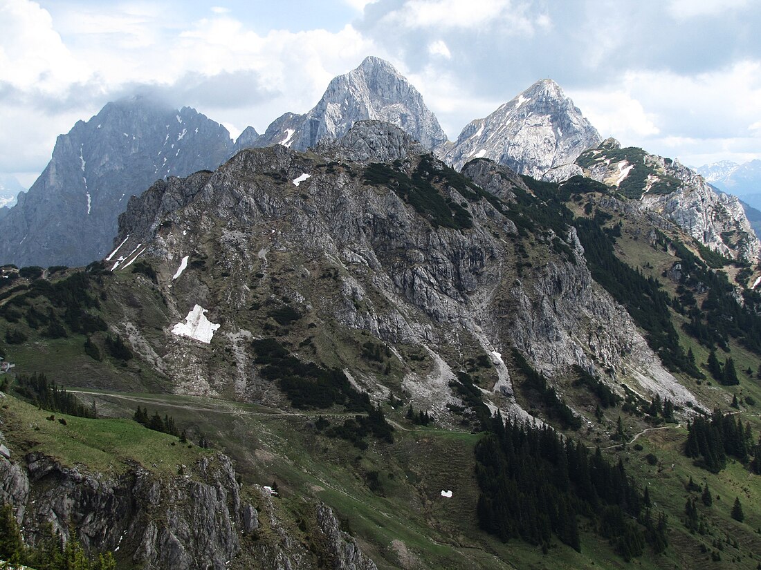 Läuferspitze