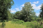 Geschützter Landschaftsbestandteil Mönigfeld