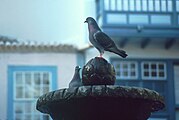 Brunnen in Santa Cruz de La Palma