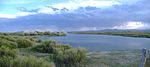 Laguna de Llancanelo (panorama) .jpg