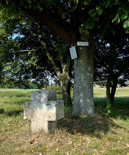 File:Lenningen - Kreuzstein mit Wegweiser.JPG