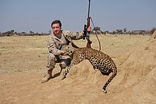 Lovec s puškou dřepí u zabitého levharta a pózuje fotografovi.