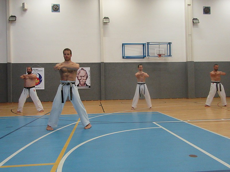 File:Letní soutředění Okinawa Karate a Kobudo ČFOKK 2017 10.jpg