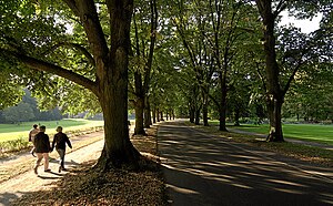 Lichtentaler Allee: Überblick, Verlauf, Literatur