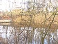 Lilienthalpark - Karpfenteich (Carp Pond) - geo.hlipp.de - 30829.jpg