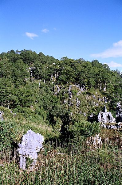 File:Limestone Karsts, Sagada, Cordilleras, Philippines (181760831).jpg