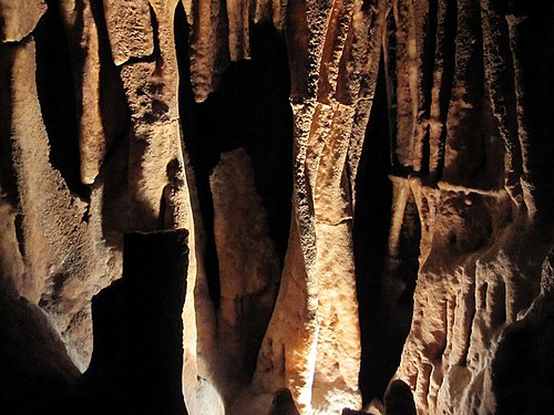 Limestone formation in Mammoth Cave, Kentucky, USA