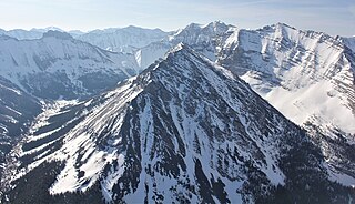 <span class="mw-page-title-main">Little Regret Peak</span> Mountain in the state of Idaho