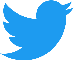 Twitter: Sejarah, Logo, Fitur