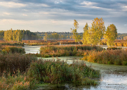 Parque nacional Losiny Ostrov em Balashikha, região de Moscou, Rússia. (definição 3 539 × 2 517)