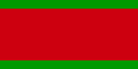 ไฟล์:Lukashenko flag idea 1995.svg