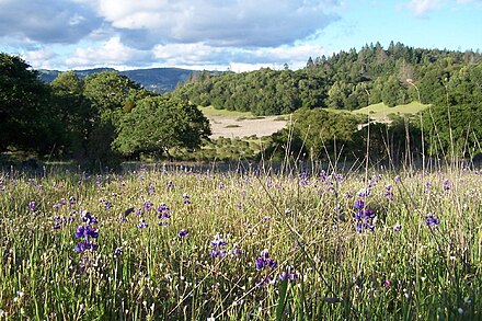 Annadel State Park