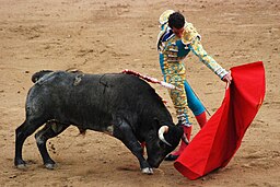 Madrid Bullfight