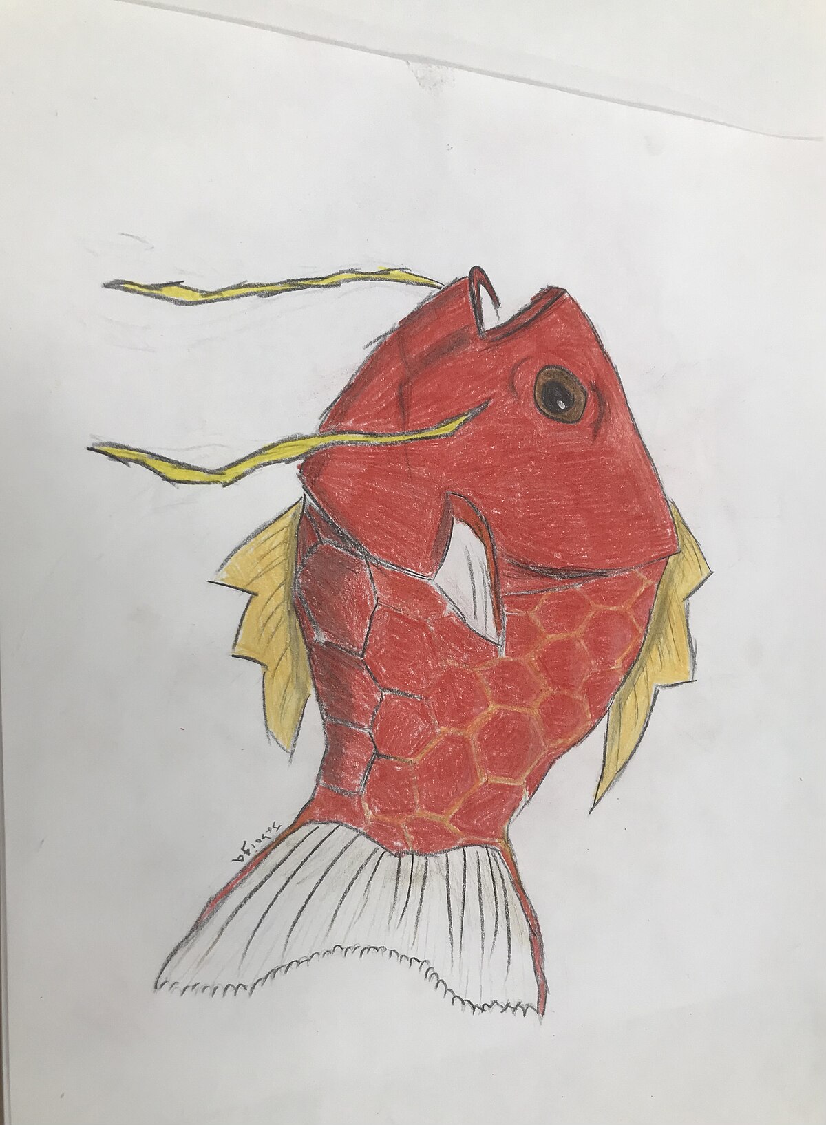 magikarp realistic