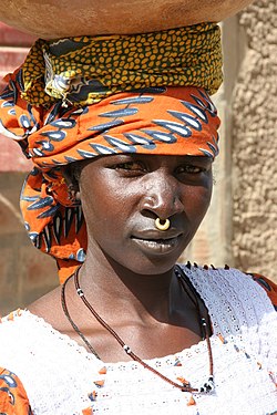 Mali Peul woman.jpg