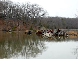 Mallows Bay'de bir gemi enkazı, Şubat 2011