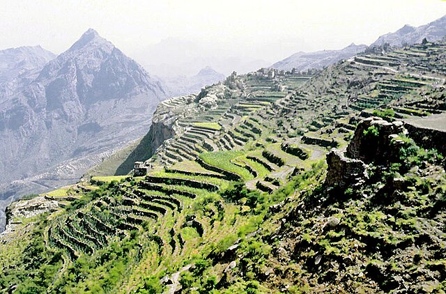 Terraced fields in the Jabal Haraz region of Yemen.