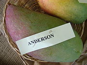 Mango Anderson Asit fs8.jpg