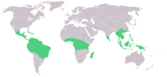Distribución das especies de Vanilla