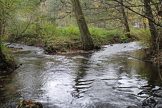 The Marbach (back right) flows into the Mümling