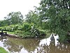 Marple Lock 14 0396.JPG