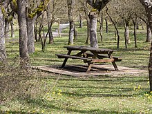 Picnic site in the Armentia Forest Merendero Armentia 01.jpg