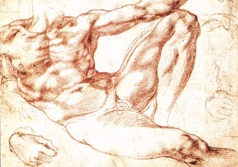 File:Michelangelo Sistine Chapel study.jpg