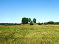 Landschaft an Jura und Memel