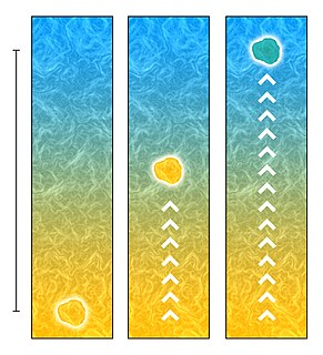 Mixing length model Method to describe momentum transfer by turbulence Reynolds stresses within a Newtonian fluid boundary layer by means of an eddy viscosity