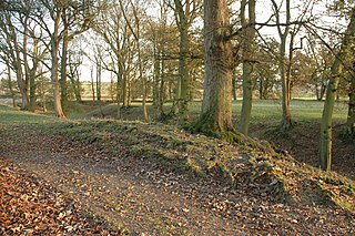 Rock moated site and medieval village