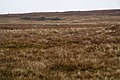 Moorland at Kirkabister - geograph.org.uk - 693136.jpg