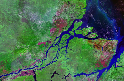 Спутниковый снимок устья Амазонки