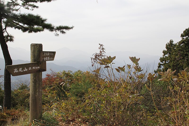 File:Mt.kobotokeShiroyama-Top 2010.JPG