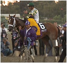 Stevens after winning 2013 Breeders' Cup Classic on Mucho Macho Man Mucho Macho Man, Gary Stevens up at 2013 Breeders Cup.jpg