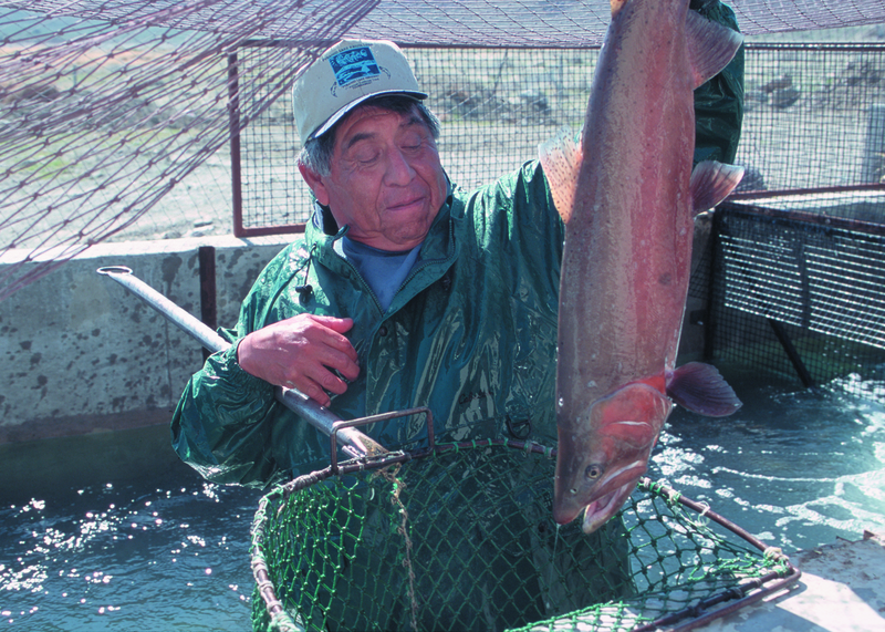 File:NRCSNV00006 - Nevada (5497)(NRCS Photo Gallery).tif