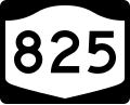 Thumbnail for New York State Route 825