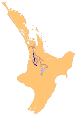 Waipa River – den største tilførselen til Waikatoelva.
