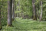 Liste Der Naturschutzgebiete Im Landkreis Schweinfurt: Wikimedia-Liste